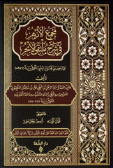 Mecmaül-Enhur fi Şerhi Mültekal-Ebhur - مجمع الأنهر في شرح ملتقى الأبحر