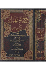 Şerhu İbn Akil ala elfiyye ibn Malik | شرح ابن عقيل على ألفية ابن مالك